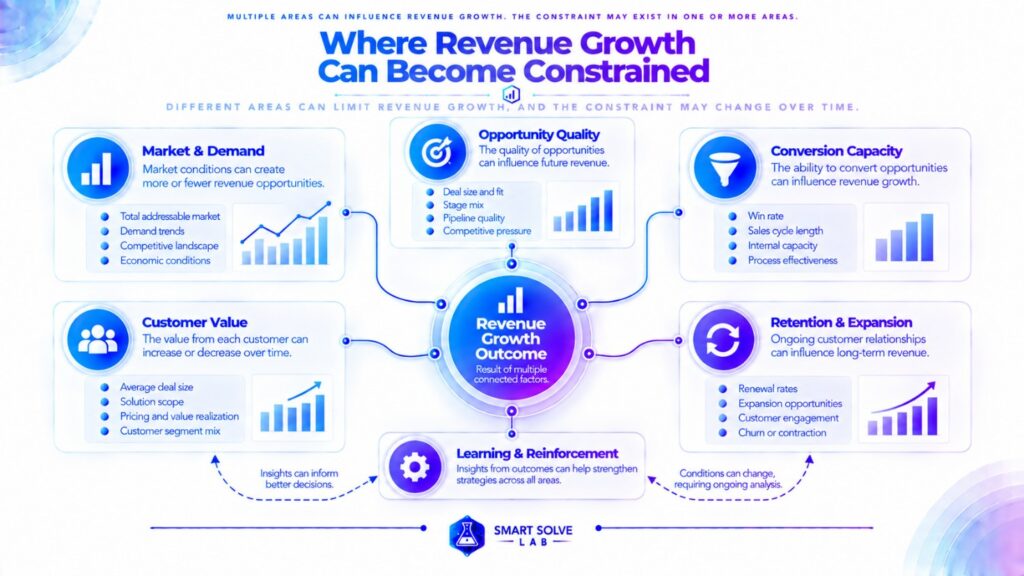 Revenue growth constraint areas across demand, opportunity, conversion, customer value, and retention